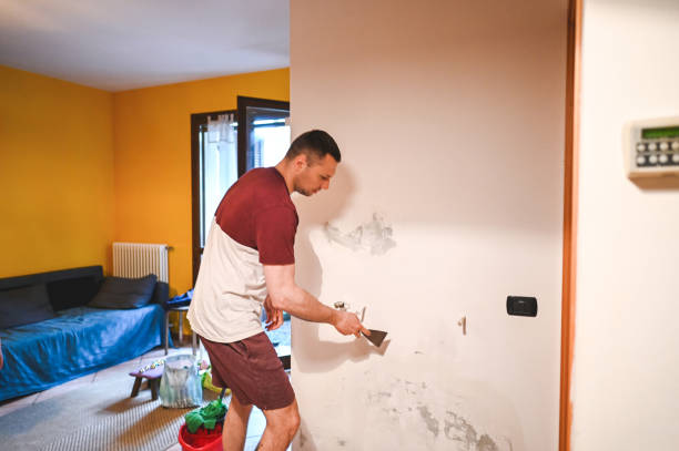 Best Black Mold Removal  in Norwood Young America, MN
